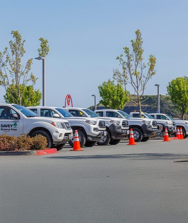parking and safety